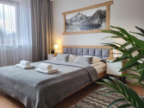 Koscielisko Apartment | Apartamenty Velvet
