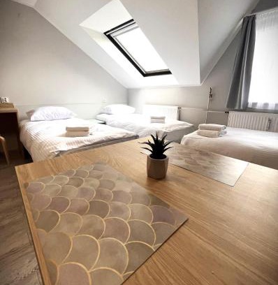 Olsztyn Apartment | Apartamenty Wilczyńskiego