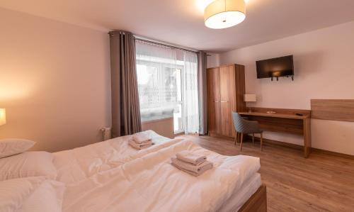 Bystrzyca Kłodzka Apartment | Apartamenty ZYGFRYD 28C/3/1