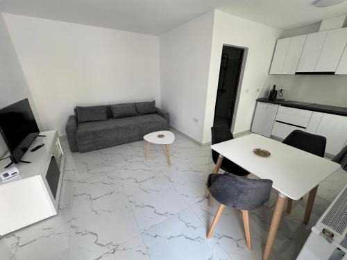 Lugoj Apartment | Aparthouse 2