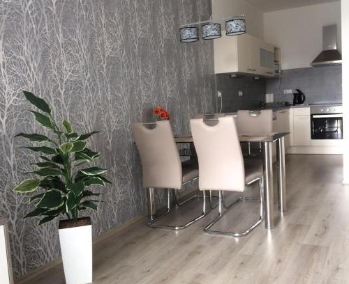 Trebon Apartment | Apartmán Třeboň č. 1