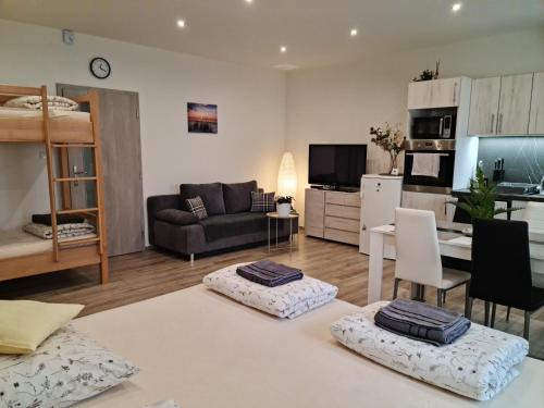 Dvur Kralove nad Labem Apartment | Apartmány Žireč