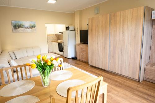 Piran Apartment | Apartma Alina