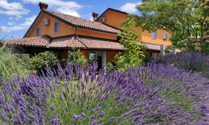 Koper Apartment | Apartma Lavanda