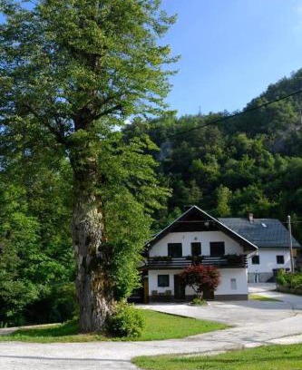 Bohinj Apartment | Apartma pri lipi