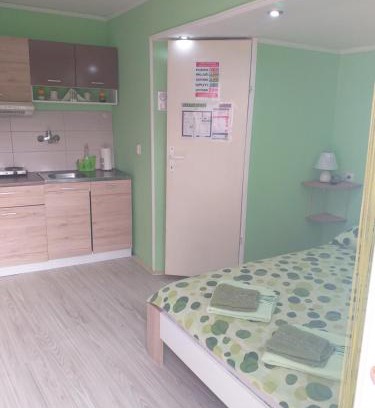 Vrdnik Apartment | Apartman Andjela 1