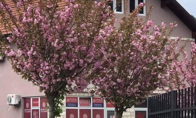 Visegrad Apartment | Apartman Poljčić Višegrad