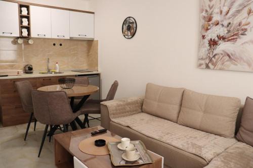 Veliko Gradiste Apartment | Apartman Silver night