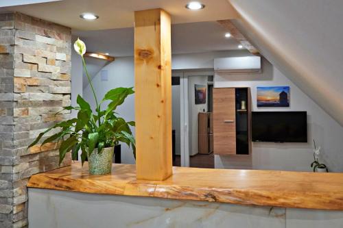 Ravna Gora Apartment | Apartman Tilia