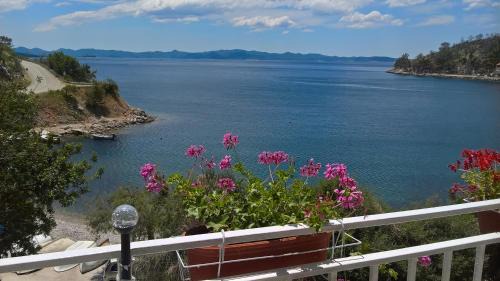 Trstenik Apartment | Apartmani Kunjasic