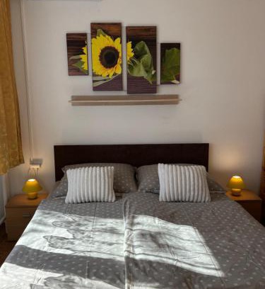 Sturovo House | Apartmanovy dom Grand