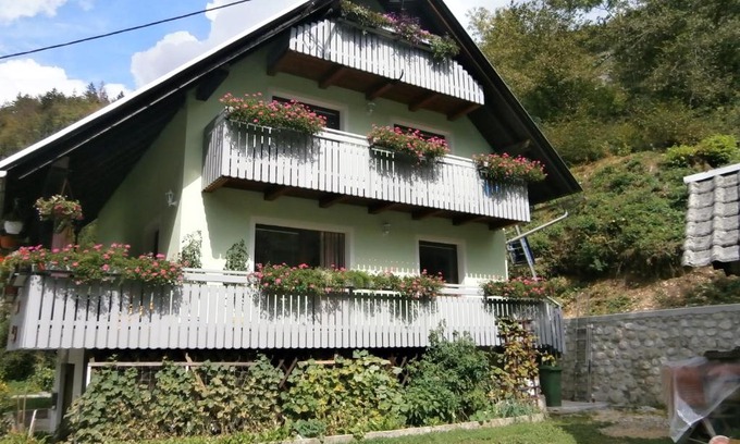 Bohinj Apartment | Apartment Žvan