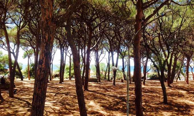 Follonica Apartment | Apartment 50m from the sea all service