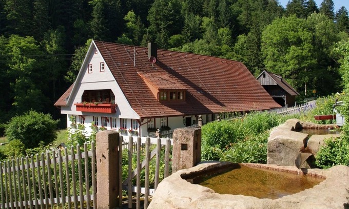 Schenkenzell Apartment | Apartment 'Appartement Im Hof, 36qm' with Mountain View, Shared Terrace and Wi-Fi