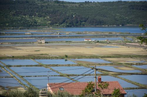 Seca Apartment | Apartment Burja with Olive Grove & Salt Pans View