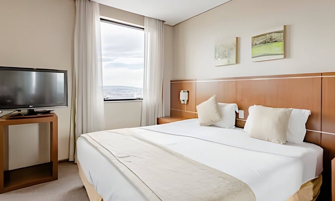 Osasco Hotel | Apartment complete with microwave and fridge ap 1101