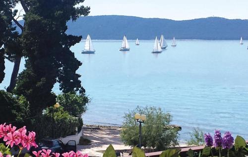 Kastel Gomilica Apartment | Apartment DANTE by the sea