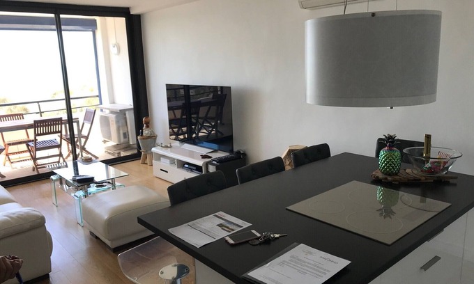 La Grande-Motte Apartment | APARTMENT FACING THE SEA, 20 metres from the beach