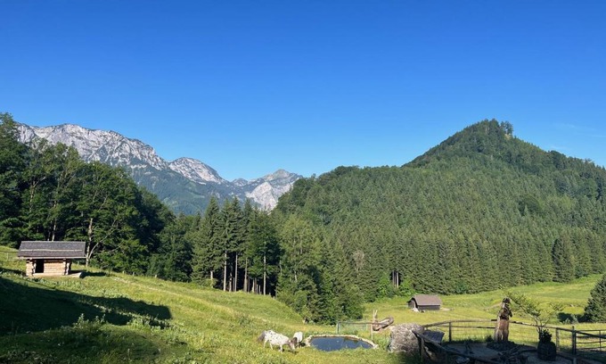 Traunkirchen Apartment | Apartment Hochsteinalm