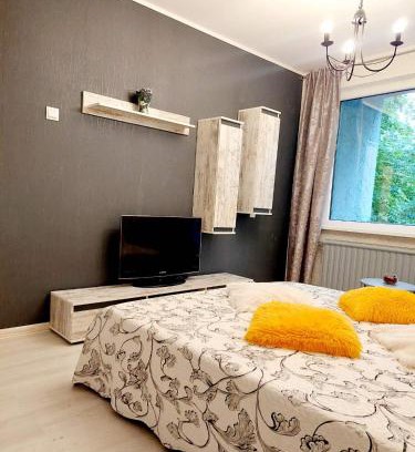 Kaunas Apartment | Apartment in Dainava self check in