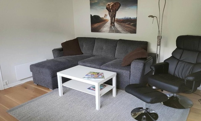 Orsta Condo | Apartment in Ørsta city center with mountain view