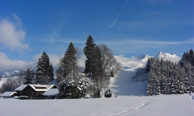 Obermaiselstein Apartment | Apartment in the mountains with a west-facing balcony! WiFi free!
