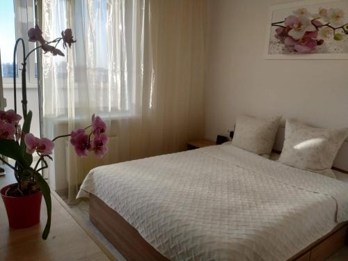 Solomjanskyj Apartment | Apartment Kiev Studio with city view