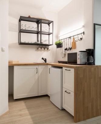 Solkan Apartment | APARTMENT SAPICA