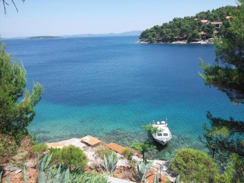 Island Dugi Otok Apartment | Apartment Viktor