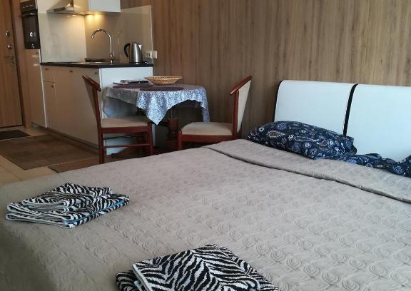 Old Town Apartment | Apartment Vilnius Zemaitijos
