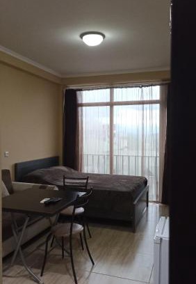 Magnetiti Apartment | Apartment Zhemchuzhina Ureki-3 СТУДИО