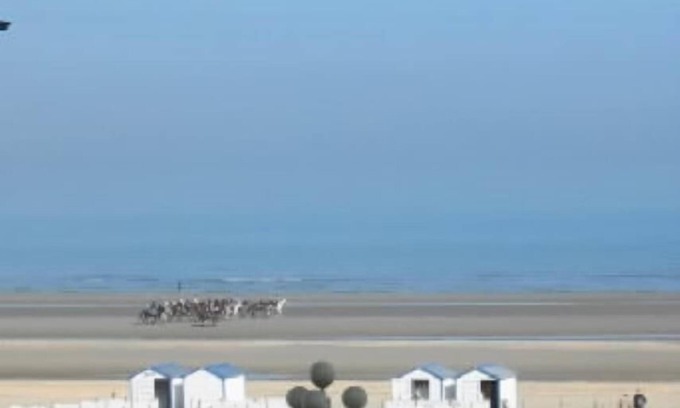 De Panne Apartment | apartments - 5 rooms - 4/6 persons