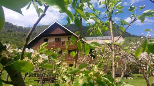 Bohinj Apartment | Apartments Arh