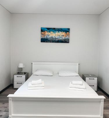 Mukachevo Apartment | Apartments Domovik Mira 11s/20