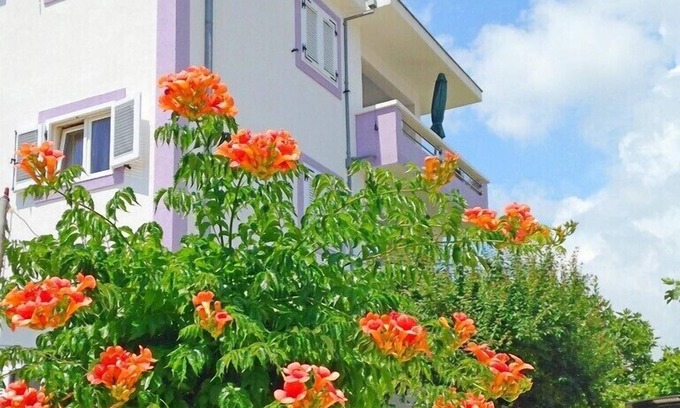 Vinisce Apartment | Apartments Ljiljana, (14587), Vinišce, hr