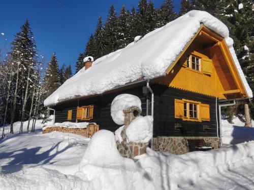 Pohorje Apartment | APARTMENTS ROGLA LUKANJA 1