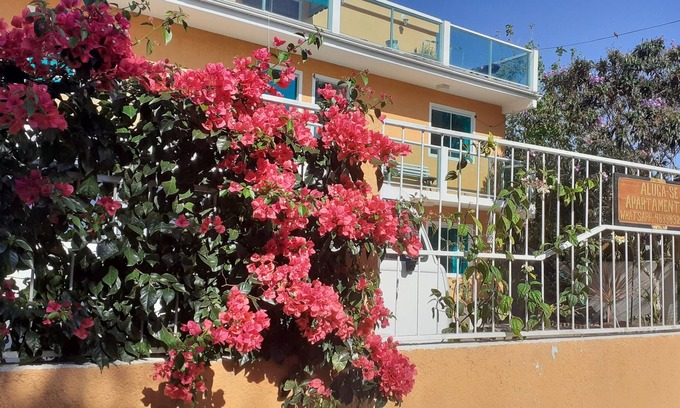 Rio Tavares Apartment | Apartments with two full bedrooms, five minutes walking from the sea.