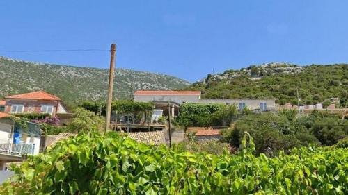 Postup Apartment | Apartments with WiFi Postup, Peljesac - 23780