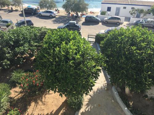 Lido Conchiglie Apartment | Appartamenti Antonaci