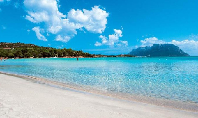 Olbia Apartment | Appartamento Cisto