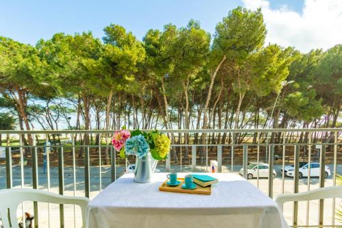 Alba Adriatica Apartment | Appartamento Il Timone 1 Piano - MyHo Casa