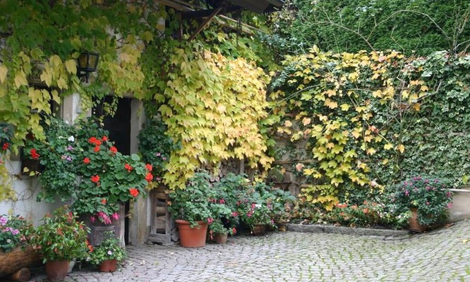 Schweighof Apartment | Appartement A4, 34qm, 1 Wohn-/Schlafzimmer, max. 2 Personen