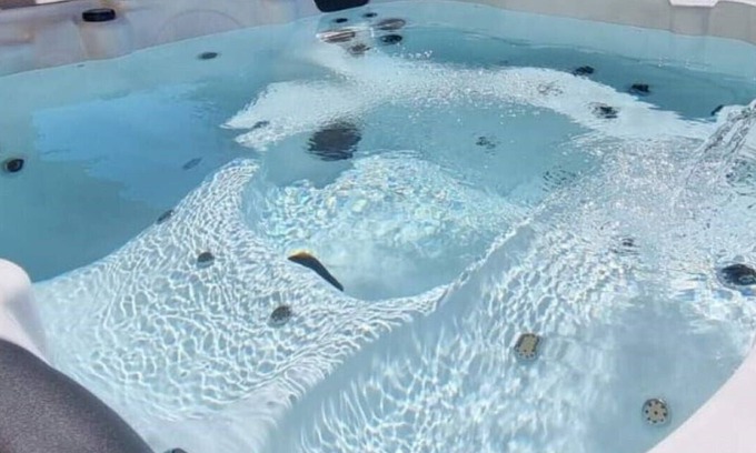 Quartier des Espesses Apartment | Appartement +jacuzzi Privé 5 min du Centre à Nîmes"escale des Sens Institut"