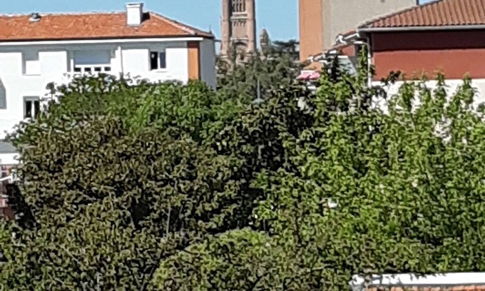Albi Apartment | Appartement T1 a 1km a Pied du Centre Ville d' Albi Pour 2 Personnes