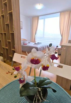 Razlog Apartment | Aspen Golf Resort C207, free SPA