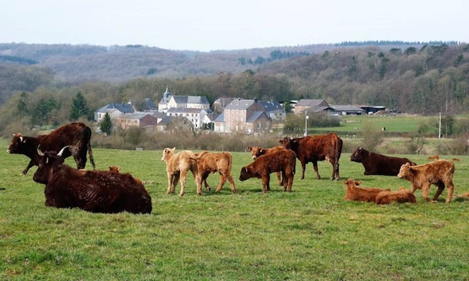 Xhignesse Other | At Hameau de Xhignesse, luxurious 5-bedroom/5-bathroom gîte: Best price guaranteed