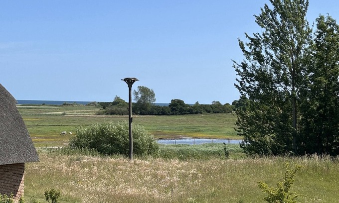 Nieby House | Atelierhaus Morsezeichen Unter Reet für bis zu 8 Personen mit Wildwiesenblick