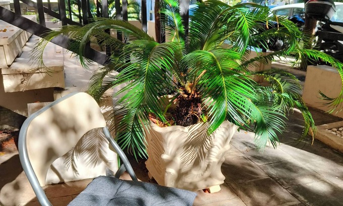 Nea Smirni Apartment | Athens; lovely, private, comfortable, modern apartment, 7min. from center/beach