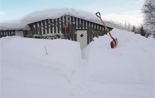 Ustaoset House | Awesome Home In Ustaoset With Wifi