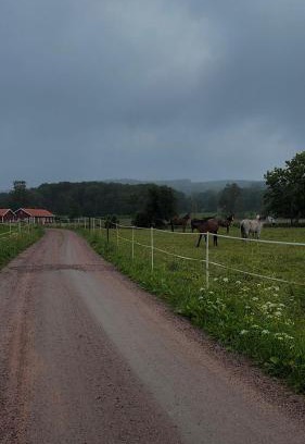 Skovde Municipality House | Bäckagården - no fix up or bedding included
